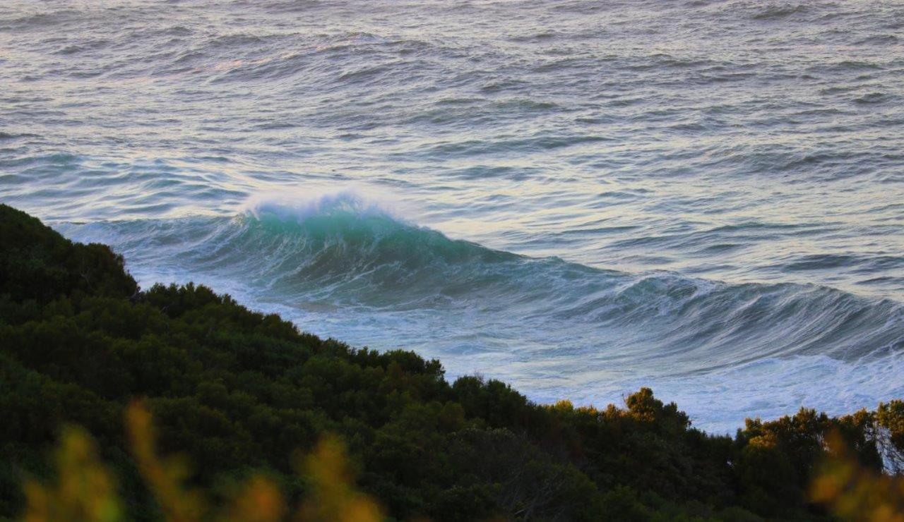 Anglers Paradise Eersterivierstrand Dış mekan fotoğraf